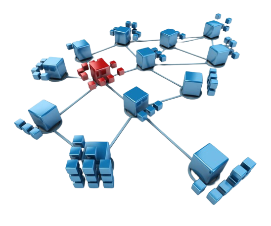 image removebg preview (92)