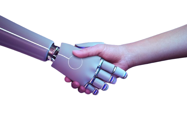 image removebg preview (95) image removebg preview (95)